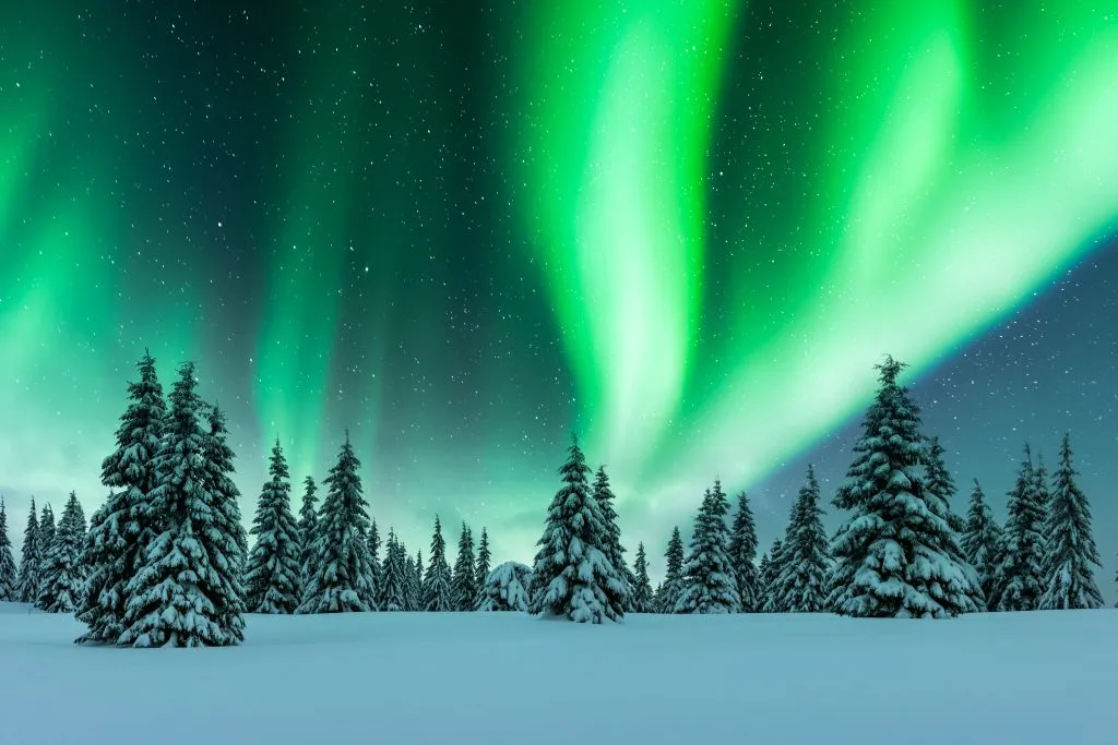 Aurora borealis. Northern lights in winter forest. Sky with polar lights and stars. Night winter landscape with aurora and pine tree forest. Travel concept
