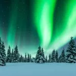 Aurora borealis. Northern lights in winter forest. Sky with polar lights and stars. Night winter landscape with aurora and pine tree forest. Travel concept