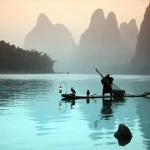 Chinese man fishing with cormorants birds