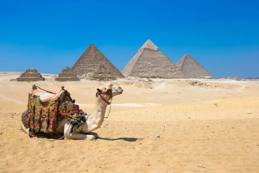 Giza in Cairo, Egypt.