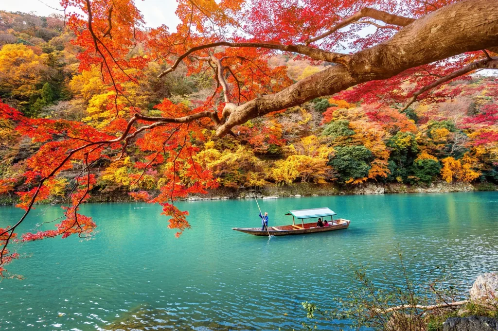 Boatman punting the boat at river. Arashiyama in autumn season along the river in Kyoto, Japan.