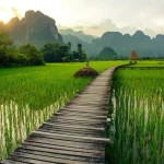 Sunset over green rice fields and mountains in Vang Vieng, Laos