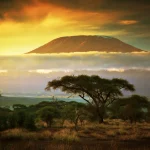 Mount Kilimanjaro. Savanna in Amboseli, Kenya