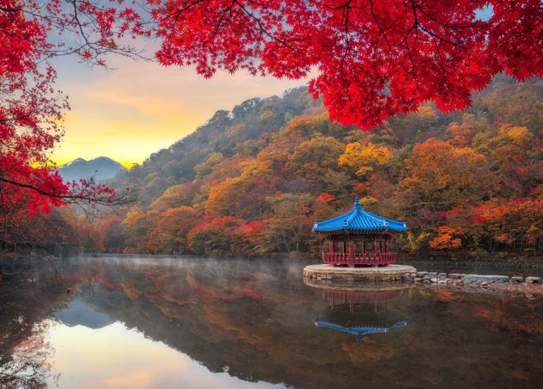 Autumn Maple  in Naejangsan national park, South korea