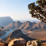 in  south africa    river canyon  plant  and water